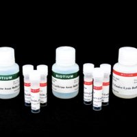 萤火虫和雷尼拉荧光素酶单管检测试剂盒