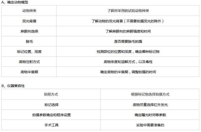 小动物X-Ray成像