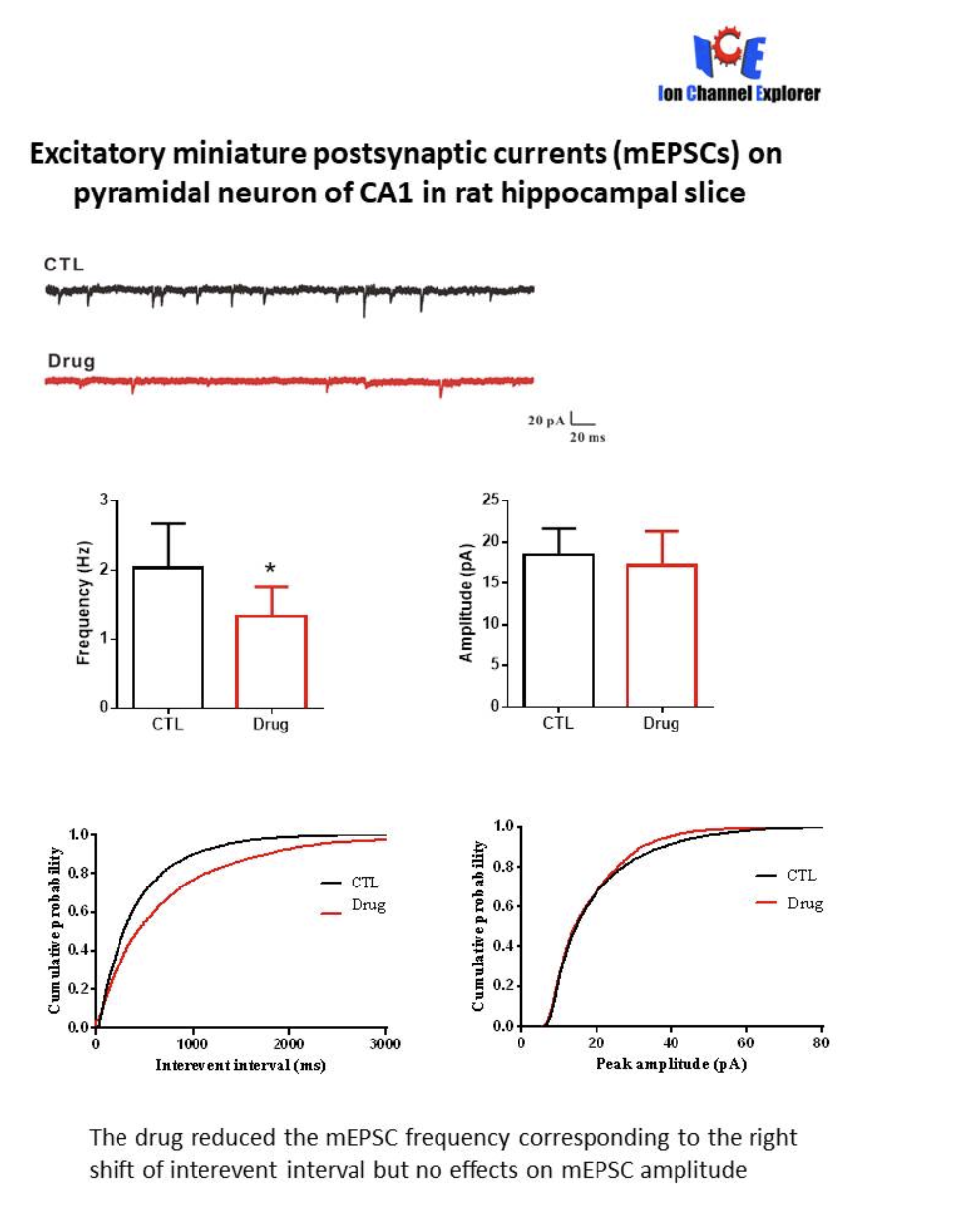 脑片电生理学研究 |膜片钳服务|脑片膜片钳|膜片钳外包