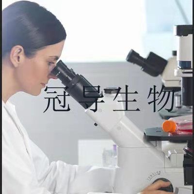 人直肠平滑肌克隆细胞|STR鉴定图谱
