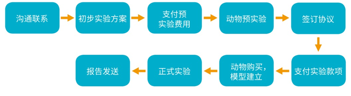 小动物X-Ray成像