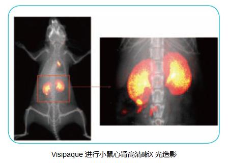 小动物X-Ray成像