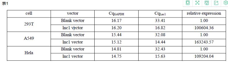 lncRNA/基因过表达载体