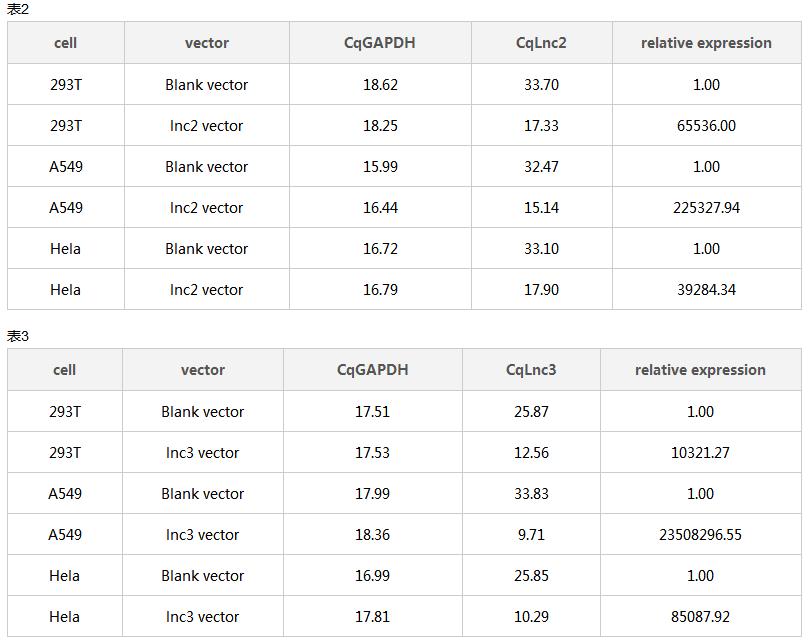 lncRNA/基因过表达载体