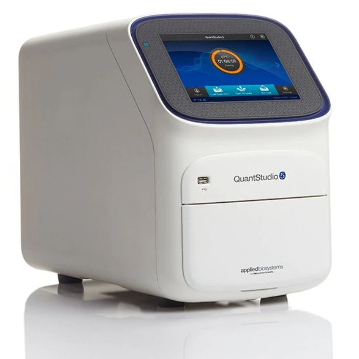 QuantStudio 5 荧光定量 PCR 仪