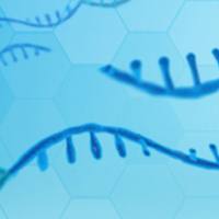 GMP级mRNA生产及CMC服务