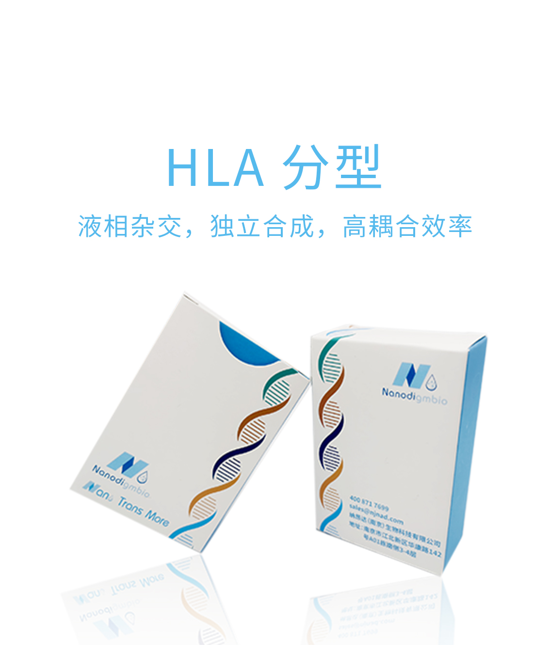 HLA typing Panel（HLA 分型）