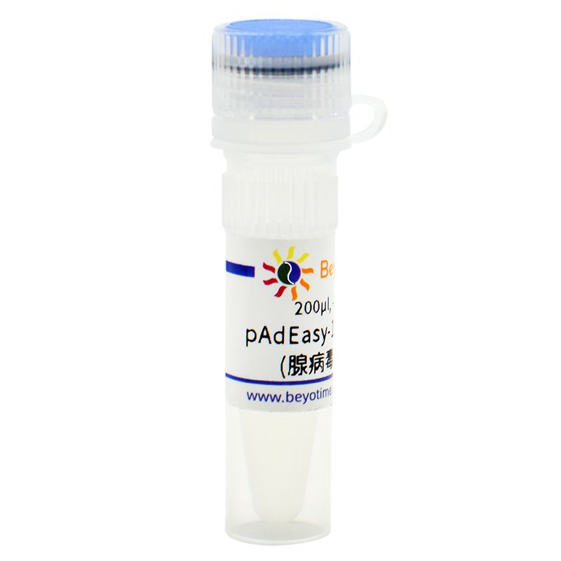 pAdEasy-1/BJ5183 甘油菌(腺病毒重组配套菌)