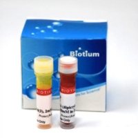 DiO/DPA膜电位检测试剂盒 30037