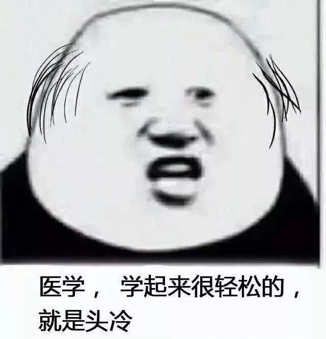 学医头秃.jpeg