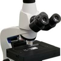 病理切片扫描仪/全自动显微镜/定制显微镜