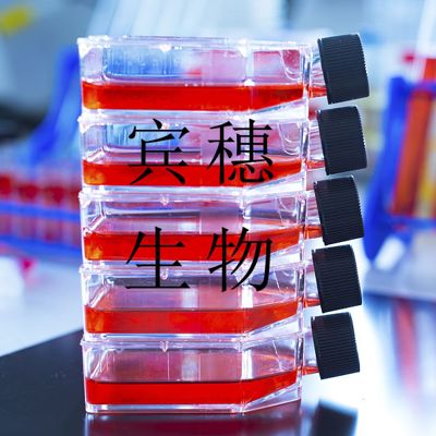 三丁酸甘油酯琼脂基础培养基 价格好