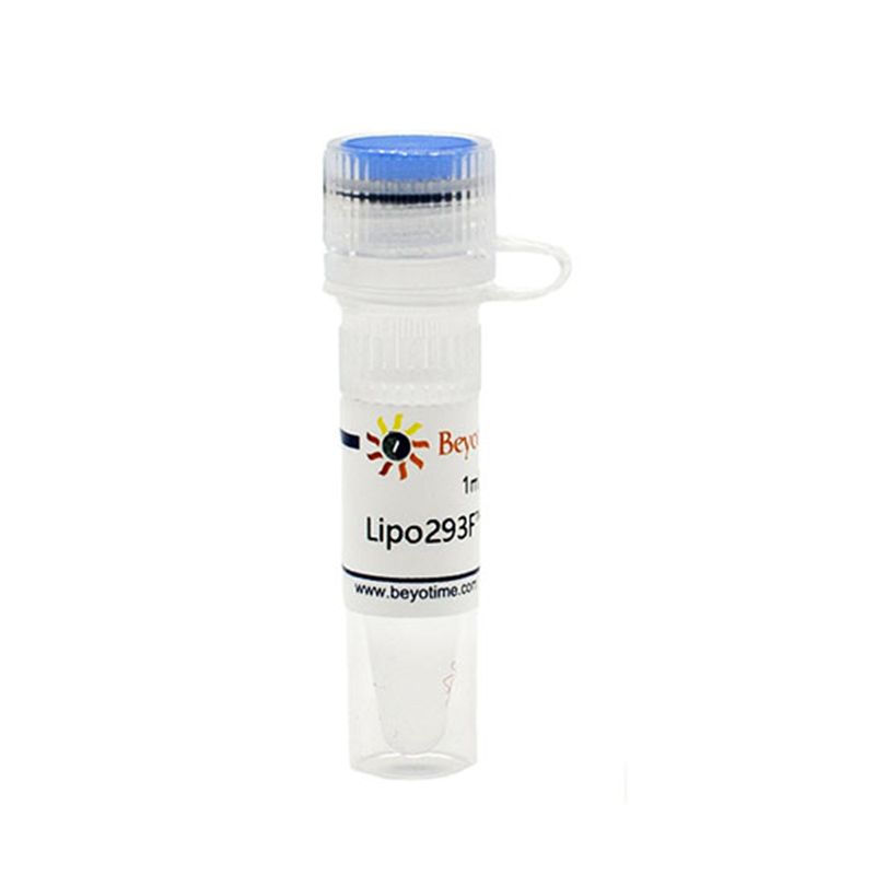 Lipo293F™转染试剂
