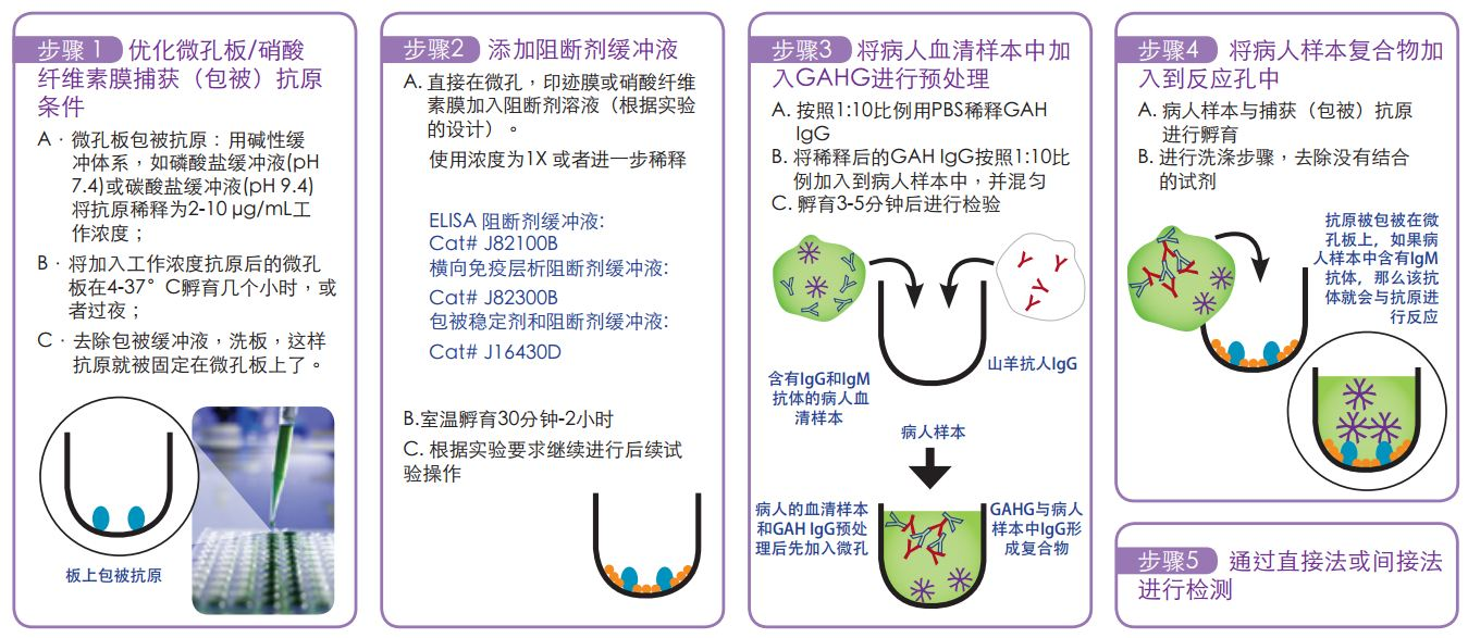 免疫检测中如何避免干扰引起的假阳性结果？