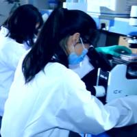 蛋白抗体暑期冰点促销,超级好礼,陪您清凉一夏!