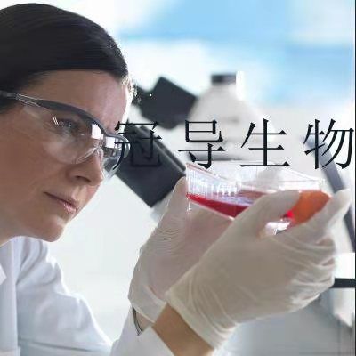 LN-18 Cells;人神经胶质瘤活化克隆细胞|STR鉴定图谱