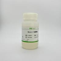 Western一抗稀释液