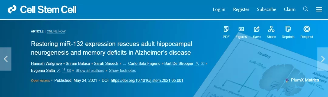 Cell Stem Cell丨恢复miR-132表达可挽救AD成年海马神经发生和记忆缺失