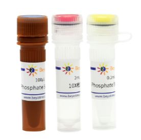 Phosphate Sensor Assay Kit (磷酸根荧光检测试剂盒)