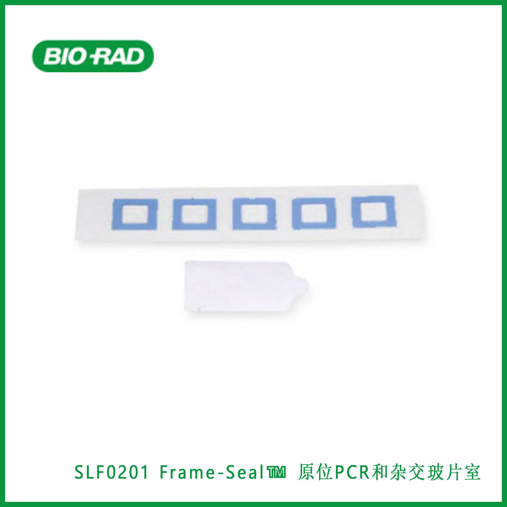 伯乐Bio-RadSLF0201 Frame-Seal™ in situ PCR and Hybridization Slide Chambers, 9 x 9 mm, 25 µl, Frame-Seal™ 原位PCR和杂交玻片室，9 x 9 mm，25µl，现货