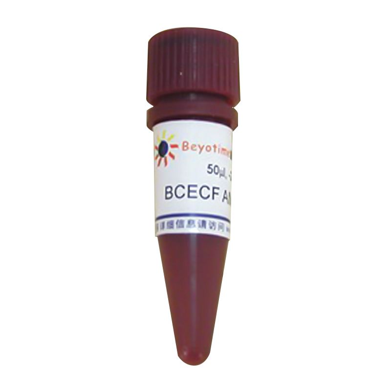 BCECF AM (pH荧光探针, 5mM)