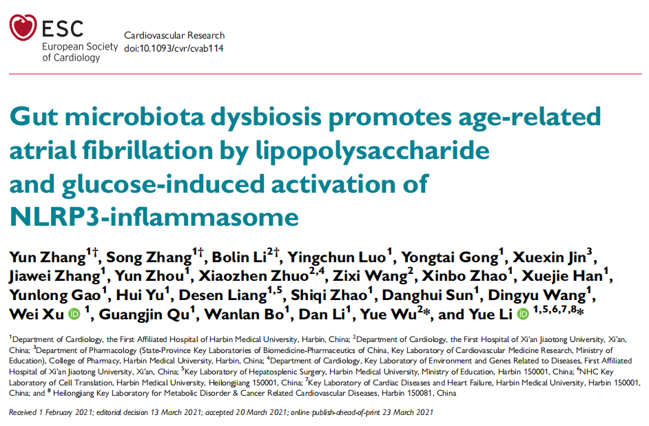 文献分享 | 粪菌移植改善心房颤动