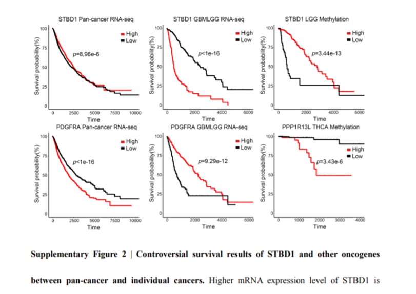 12+:预测癌症中改变自噬的基因突变