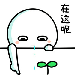 82e24957c5344960ae28798f95467d43.jpeg