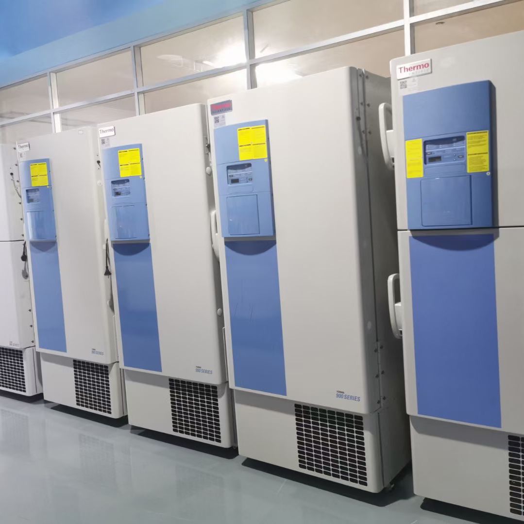 二手Thermo905超低温冰箱