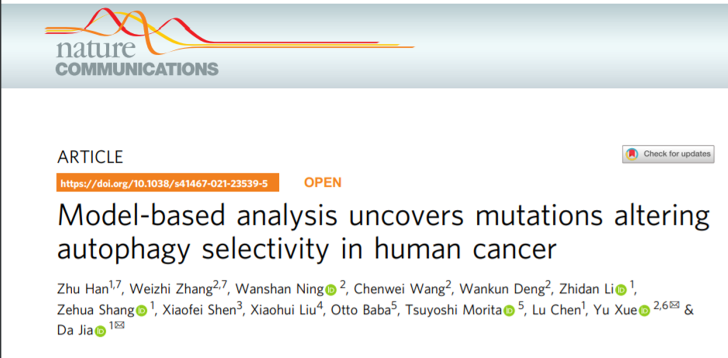 12+:预测癌症中改变自噬的基因突变