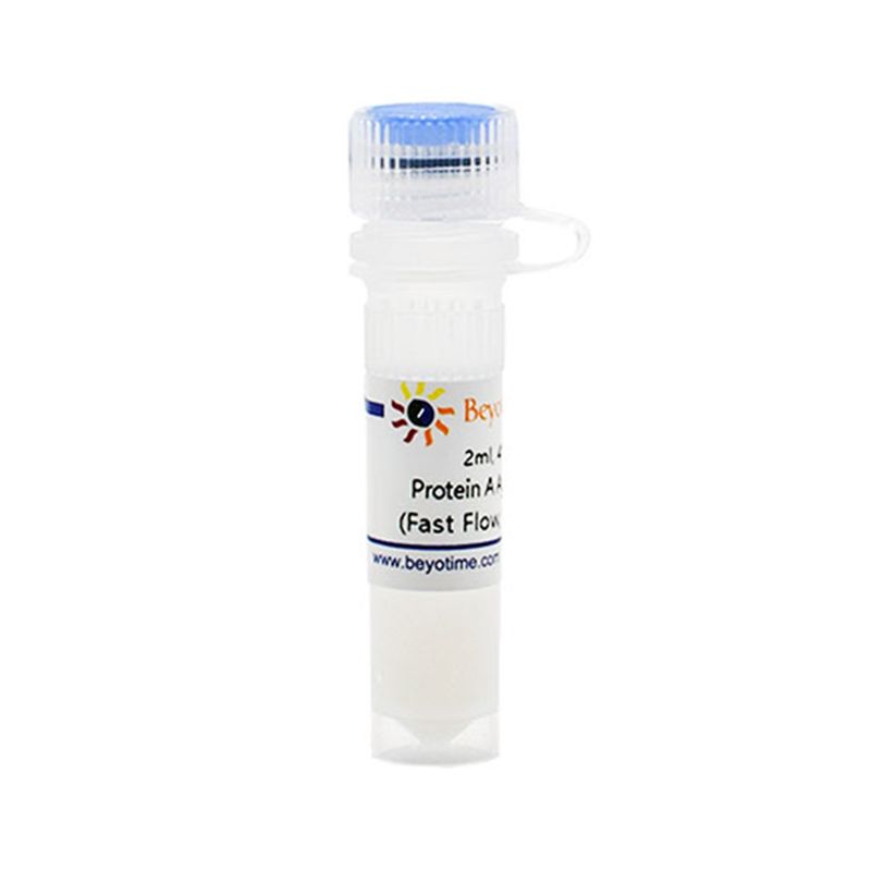 Protein A Agarose (Fast Flow, for IP)