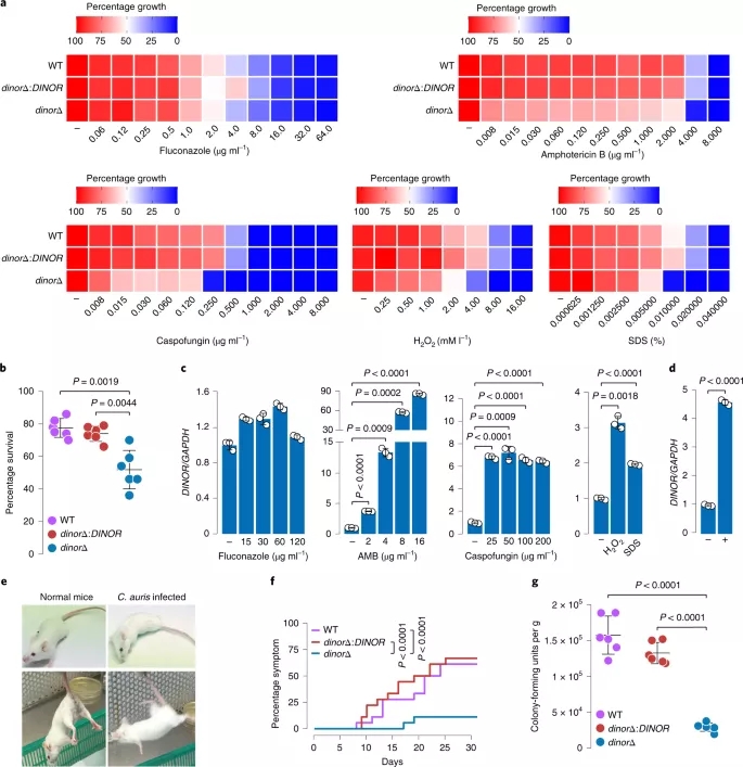 lncRNA研究进展盘点（20210610）