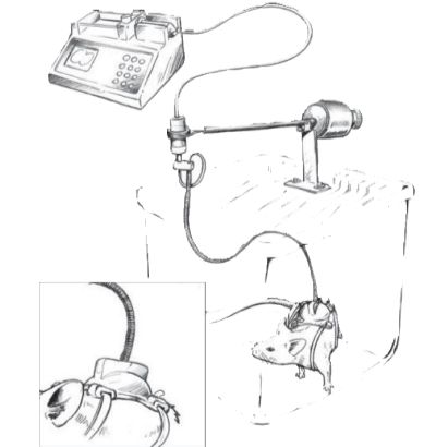 小鼠连续给药装置，小鼠持续给药装置