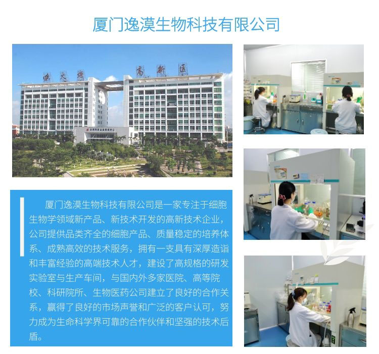 CCC-HPF-1人胚肺成纤维细胞丨CCC-HPF-1细胞株