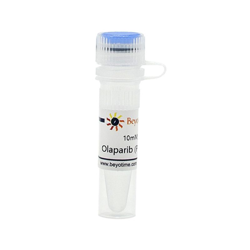 Olaparib (PARP抑制剂)