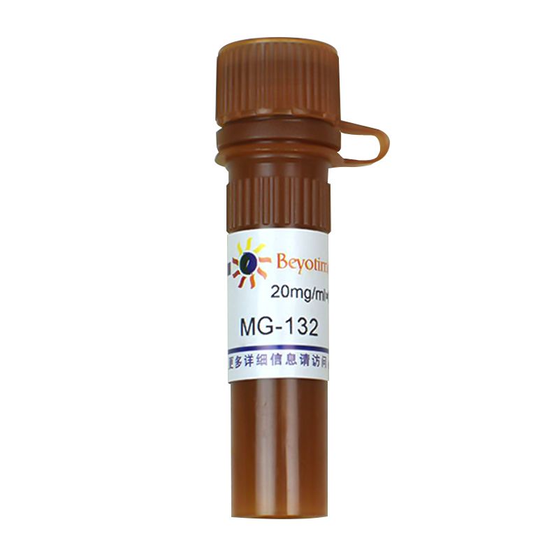 MG-132 (Proteasome抑制剂)