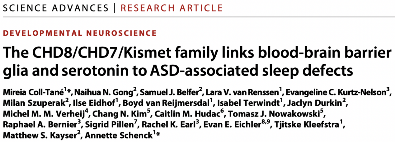 Science Advances快讯 | 血脑屏障胶质细胞自闭症相关的基因突变造成睡眠障碍