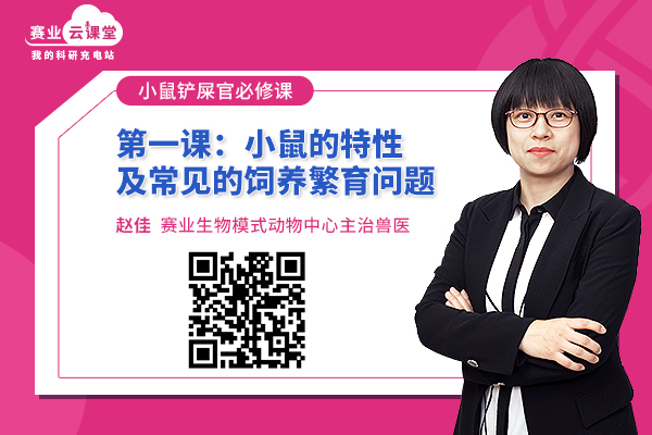 小鼠繁育答疑专题课程