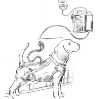 动物系绳式输液系统，动物连续给药装置