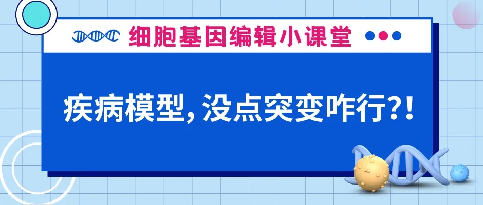 如何构建点突变细胞模型