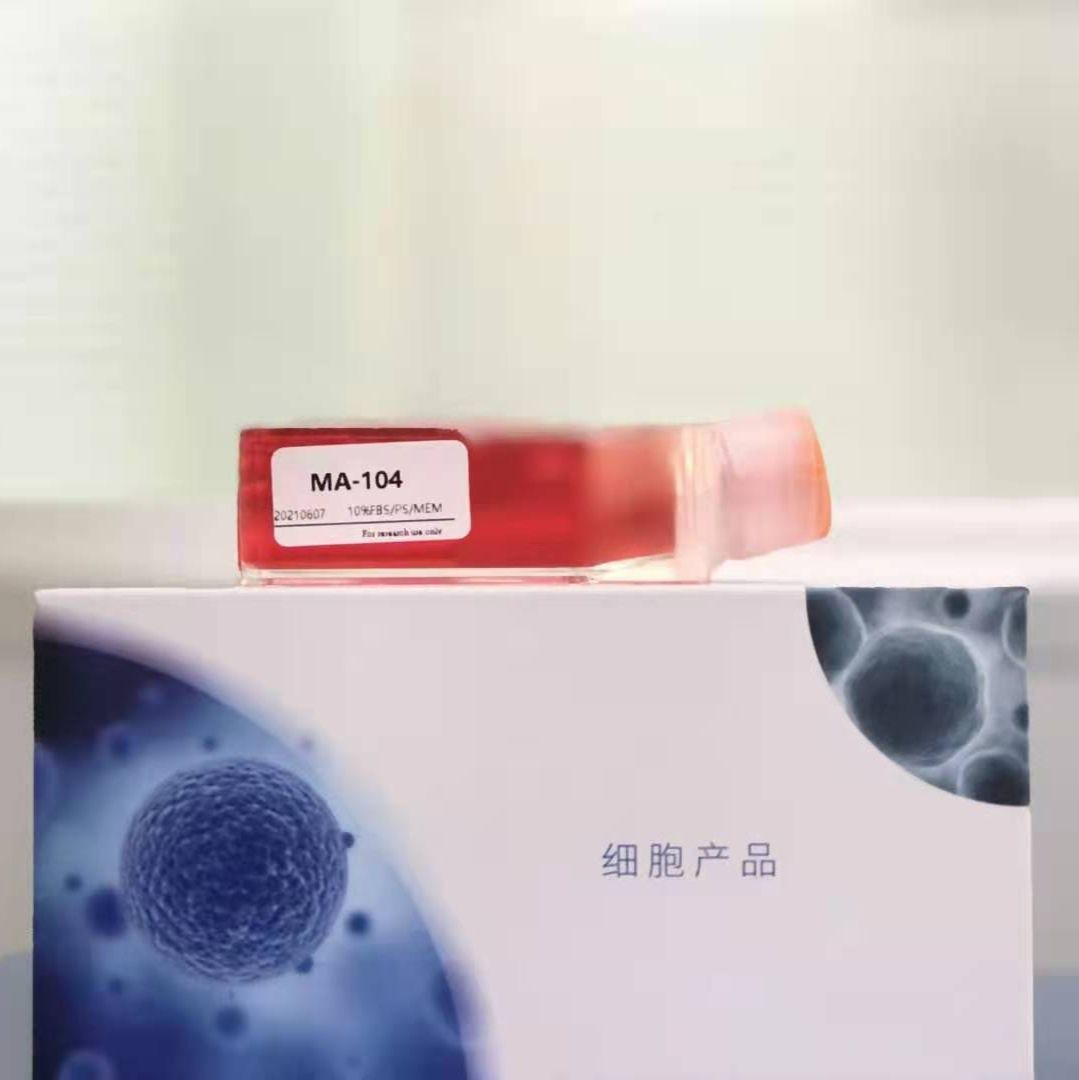 JAR(胎盘绒毛癌细胞)细胞
