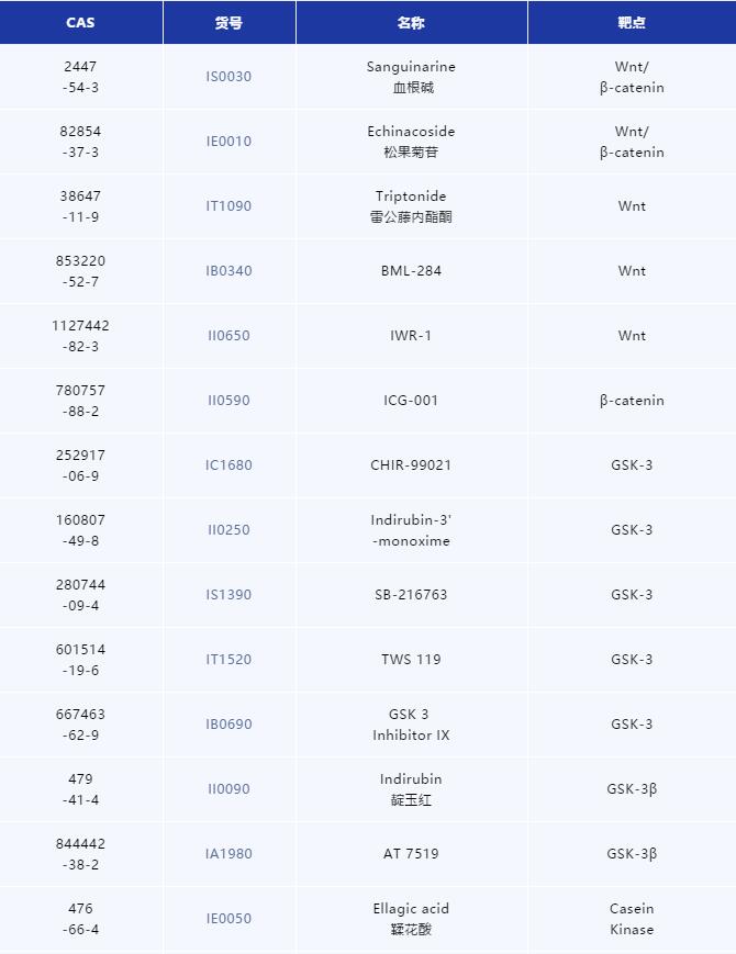 拒绝“秃”如其来，Wnt/β-catenin功不可没