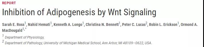 拒绝“秃”如其来，Wnt/β-catenin功不可没