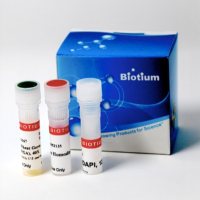 细菌活力和革兰氏染色试剂盒 - 200 assays 32001