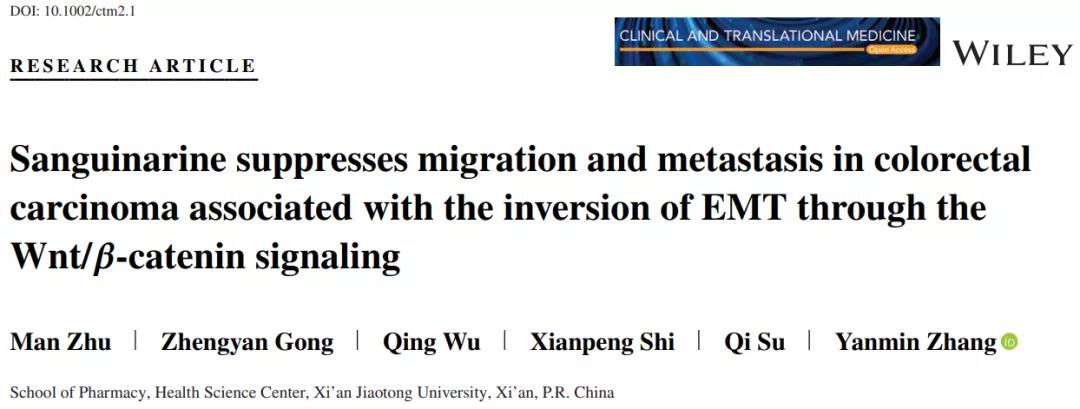 拒绝“秃”如其来，Wnt/β-catenin功不可没