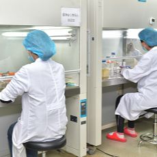 鼠原代细胞/人原代细胞及配套试剂试剂盒