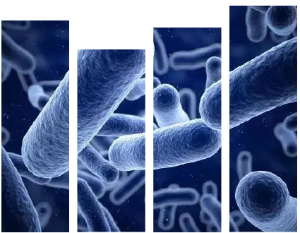 直播预告|从粪便样本中提取核酸，你该避开哪些雷