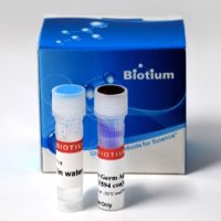 活细菌革兰氏染色试剂盒 - 800 assays 32000