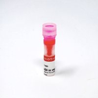 Neuro-DiI in vegetable oil 60020