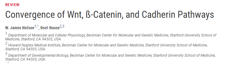 拒绝“秃”如其来，Wnt/β-catenin功不可没